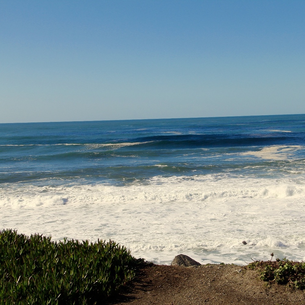 Meet your Posher, Star